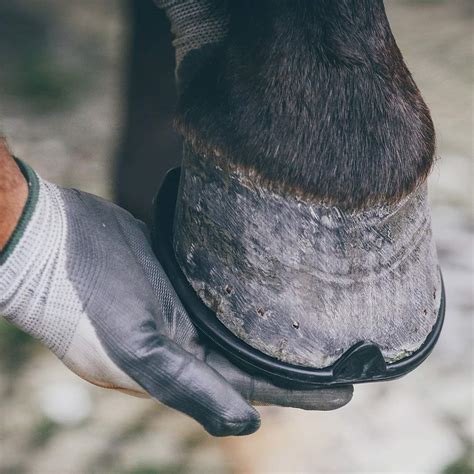 rubber horseshoes